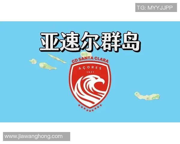 葡萄牙足球明星在世界足坛的排名分析及其影响力探讨 葡萄牙足球明星在世界足坛的排名分析及其影响力探讨