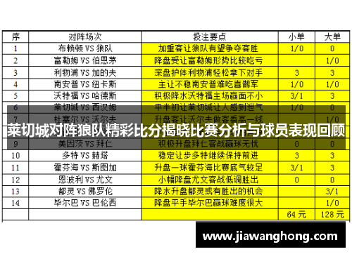 莱切城对阵狼队精彩比分揭晓比赛分析与球员表现回顾